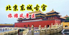 操女人大逼毛屁股眼黄色视频中国北京-东城古宫旅游风景区